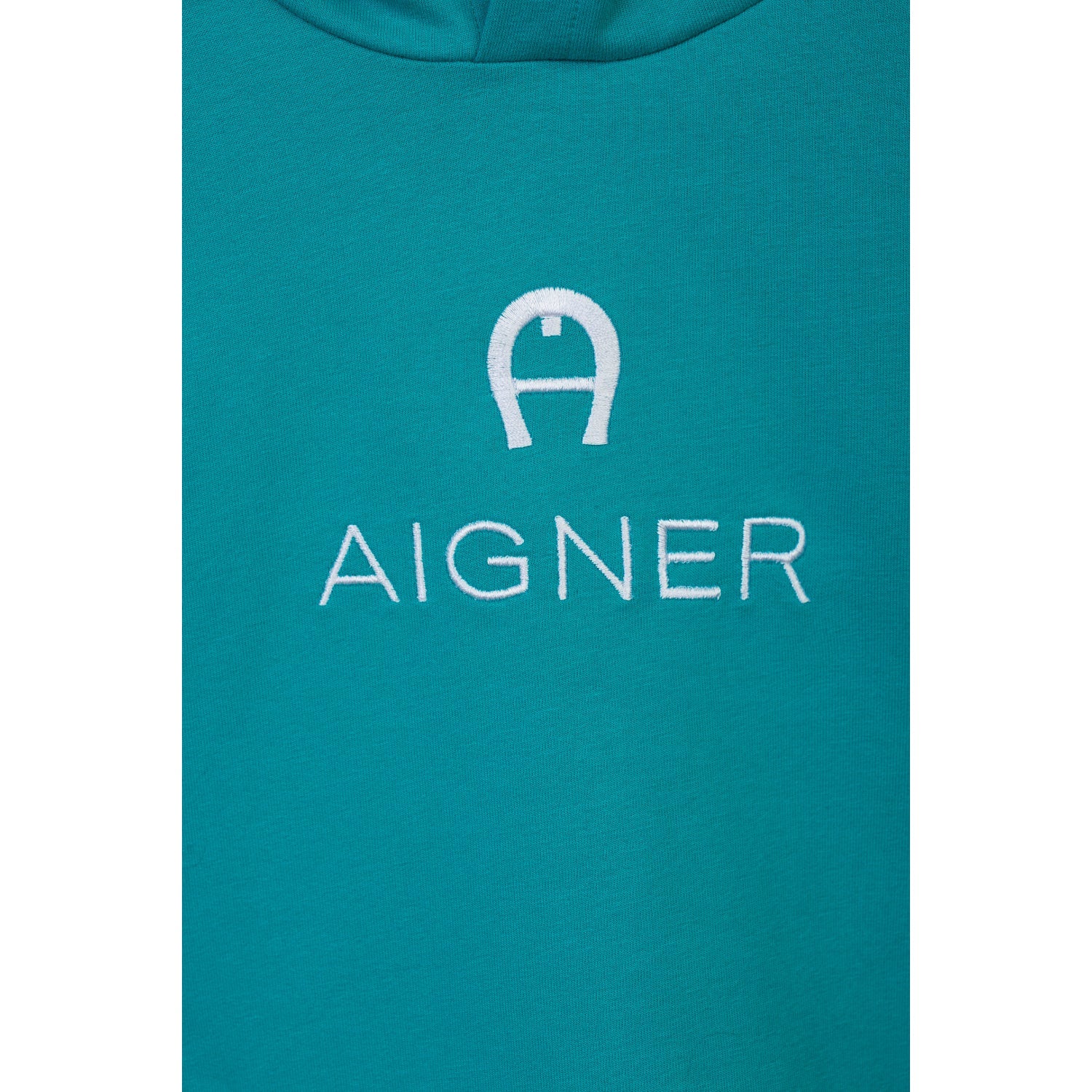 Aigner Kids Boy's Green Sweatshirt