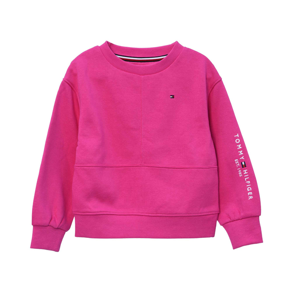 Tommy Hilfiger Kids Jogging Suit