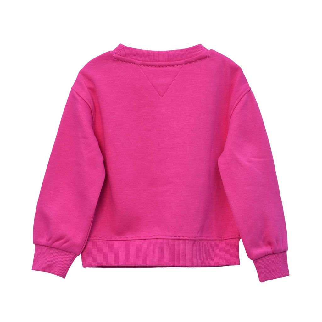 Tommy Hilfiger Kids Jogging Suit