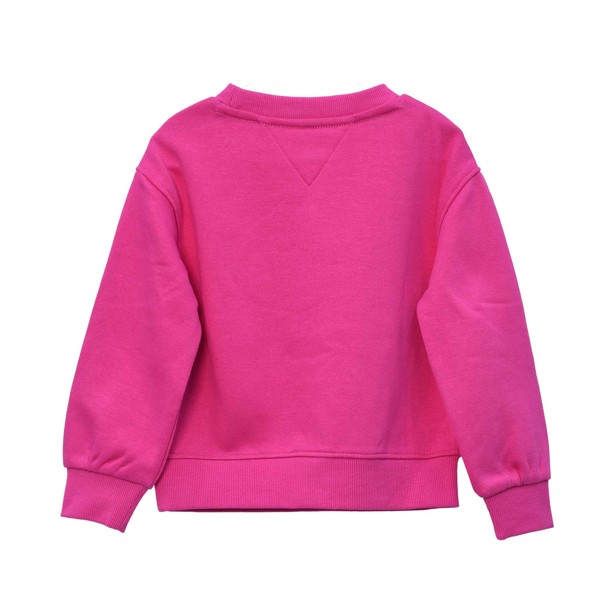 Tommy Hilfiger Kids Jogging Suit