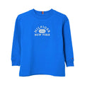 Tommy Hilfiger Kids Boy's Blue Long Sleeve T-shirt