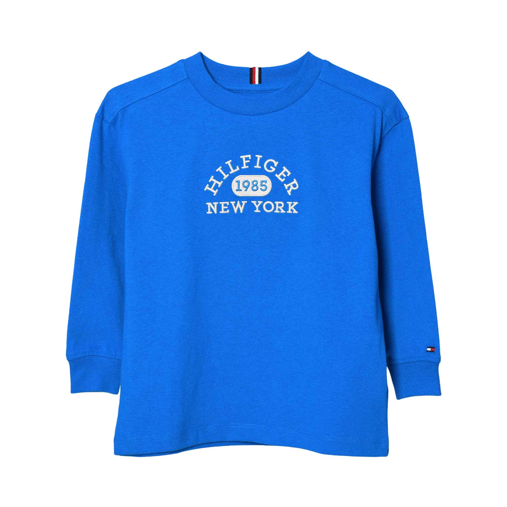 Tommy Hilfiger Kids Boy's Blue Long Sleeve T-shirt