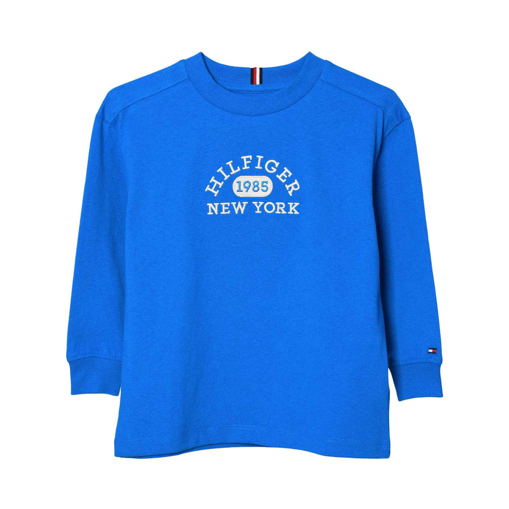 Tommy Hilfiger Kids Boy's Blue Long Sleeve T-shirt