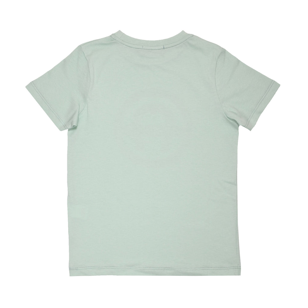 Aigner Kids Boy's Light Green T-Shirt