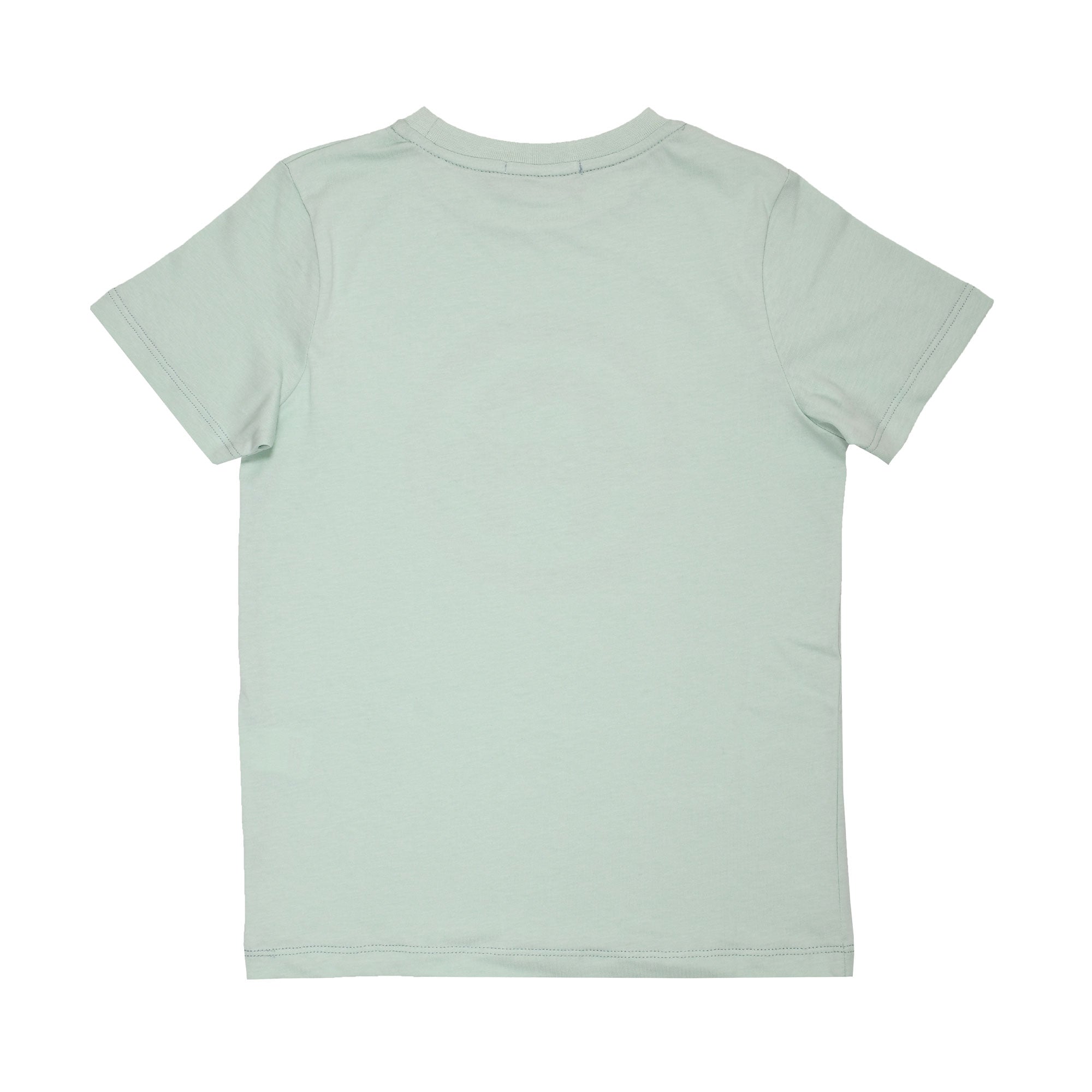 Aigner Kids Boy's Light Green T-Shirt
