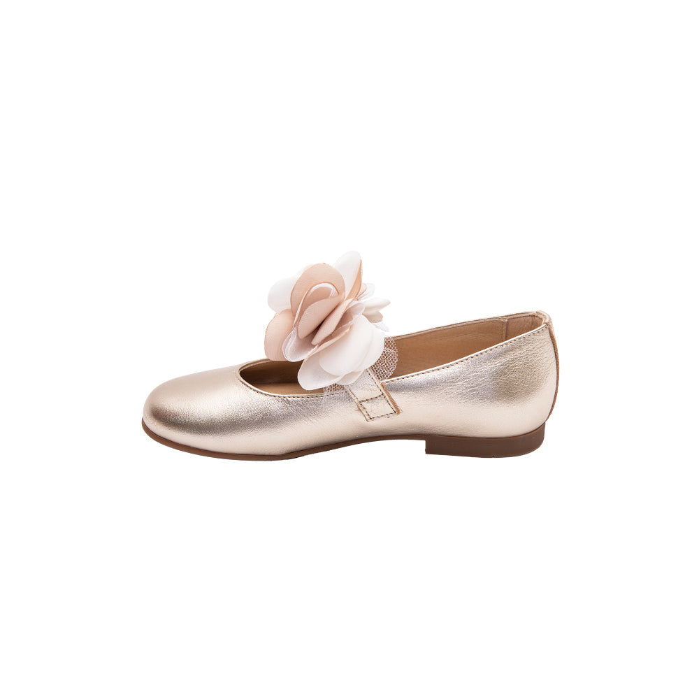 Andanines Ballerina Gold Color