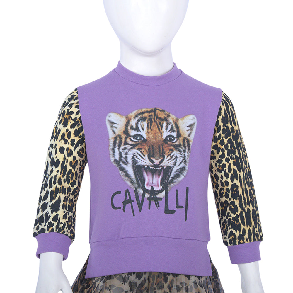 Roberto Cavalli Lilac & Multicolor Dress